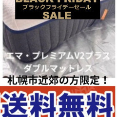 BLACK FRIDAY セール！札幌市近郊の方限定！送料無料！エマ・スリープ エマ・プレミアム V2 プラス ダブルの画像