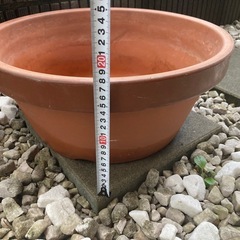 植木鉢　素焼きの画像