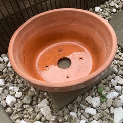 植木鉢　素焼きの画像