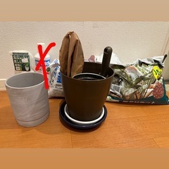 【新品未使用含む】観葉植物用品セットの画像
