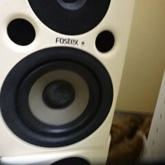 フォステクス　スピーカー　ペアの画像