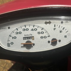 ライブディオロンホイの画像