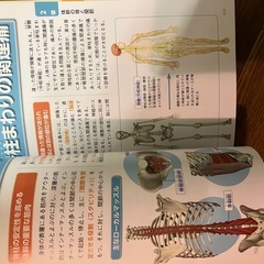 骨と関節のしくみとはたらきパーフェクトじてん辞典の画像
