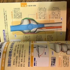 骨と関節のしくみとはたらきパーフェクトじてん辞典の画像