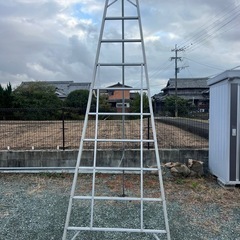 三脚ハシゴの画像