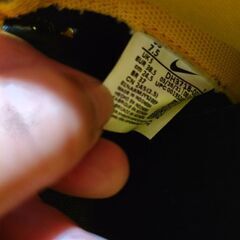 ナイキ ハイ ダンク スニーカーの画像