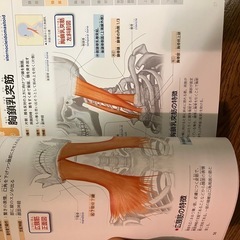 筋肉の名前としくみじてん辞典の画像