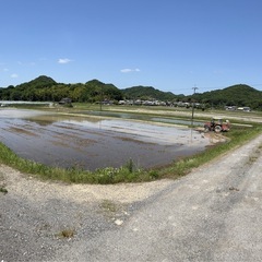 ④令和7年産　新米ヒノヒカリ　玄米30キロの画像