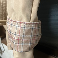 レインコート、プリーツすかスカートの画像