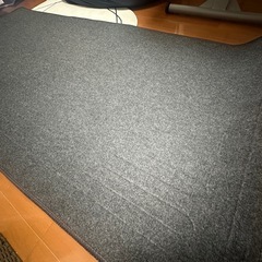 ホットカーペット　1畳の画像