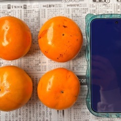 ⑧富有柿の画像