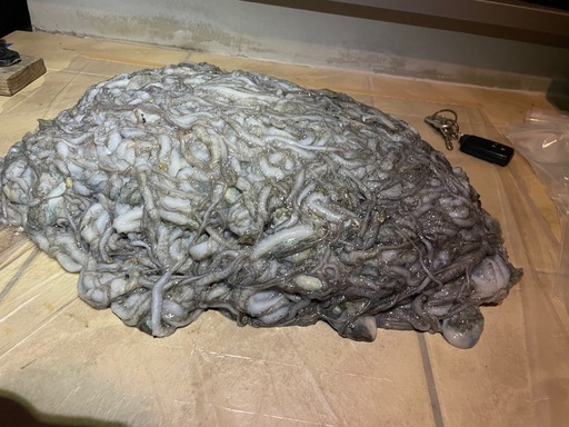 釣り餌10キロ2万売