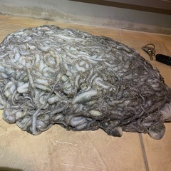 釣り餌10キロ2万売の画像
