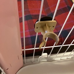 ［受付中止中］ペット用品(犬用) ケージ、カートなどまとめての画像