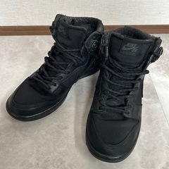 ナイキ ダンクハイNike SB ZOOM DUNK HI PRO BOTA の画像