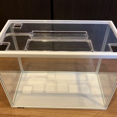 金魚の水槽の画像