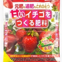 【初心者用プランターセットA】紅ほっぺ&とちおとめ苗の画像