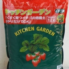 【初心者用プランターセットA】紅ほっぺ&とちおとめ苗の画像