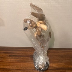 ワイリーコヨーテ✨新品未開封✨の画像