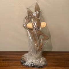 ワイリーコヨーテ✨新品未開封✨の画像