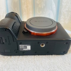 ショット数2980　ソニー α7 RIII ILCE-7RM3 ミラーレス一眼の画像