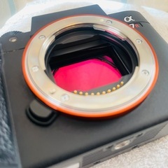 ショット数2980　ソニー α7 RIII ILCE-7RM3 ミラーレス一眼の画像