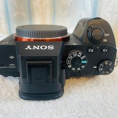 ショット数2980　ソニー α7 RIII ILCE-7RM3 ミラーレス一眼の画像