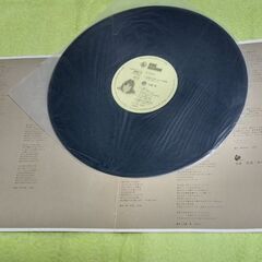 🧿 LPレコードの画像