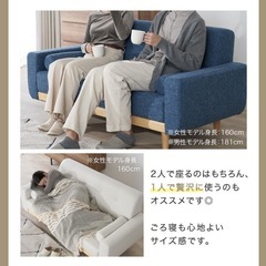 2.5人掛けソファーの画像