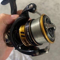 レガリス　2000番の画像