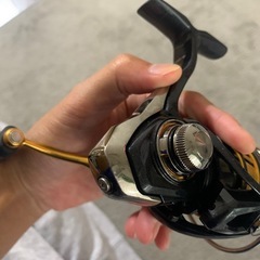 レガリス　2000番の画像