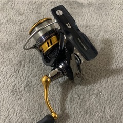 レガリス　2000番の画像