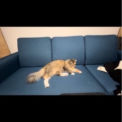 LOWYA ソファー　ネイビー　カウチなし　ベージュのカバー付きの画像