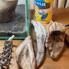 水槽　アクアリウム　セットの画像