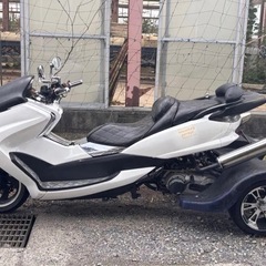 トライク　実働　自賠責長い！の画像