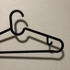ハンガー2しゅ2種の画像