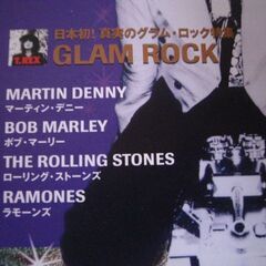 音楽雑誌　レコード・コレクターズ 2005年6月号　グラム・ロック　マーティン・デニー　ローリング・ストーンズの画像