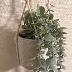 IKEA フェイクグリーンの画像