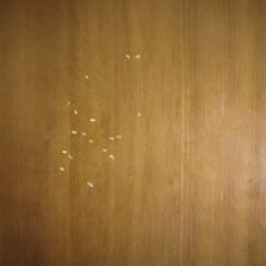 オシャレなダイニングセット😌の画像