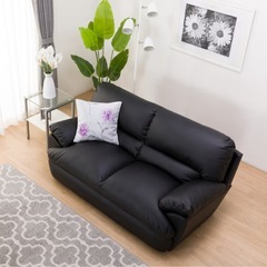  2人掛けソファ (Nシールド ビット)の画像