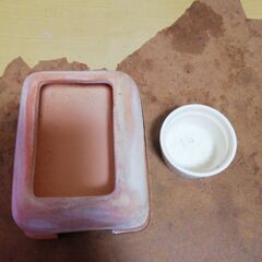 レオパの飼育フルセットの画像