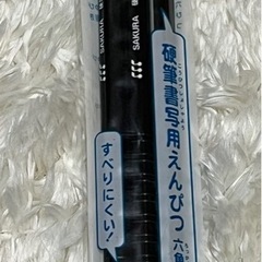 ペンテル アクリルガッシュ　2セット　硬筆書写用鉛筆の画像