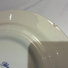 ジアン プレート オワゾブルー 27cmの画像