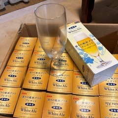 ピルスナーグラス×20個の画像