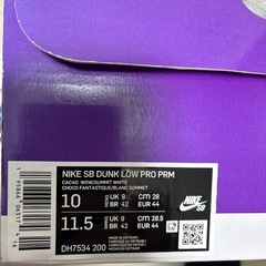 NIKE SBペイズリーダンク　28cm
　　の画像