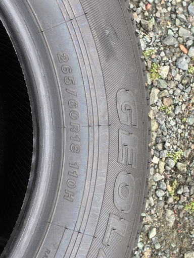 トライトン　純正夏タイヤ(ホイール無し)