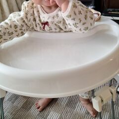 ベビーウォーカー・赤ちゃん歩行器の画像