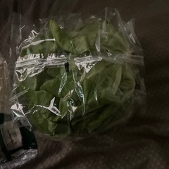 値下げ！野菜、高級素麺セットの画像