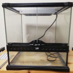 レオパの飼育フルセットの画像