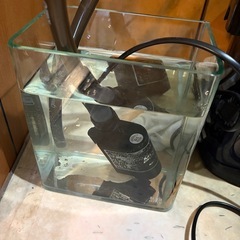 水槽色々500円ー〜の画像